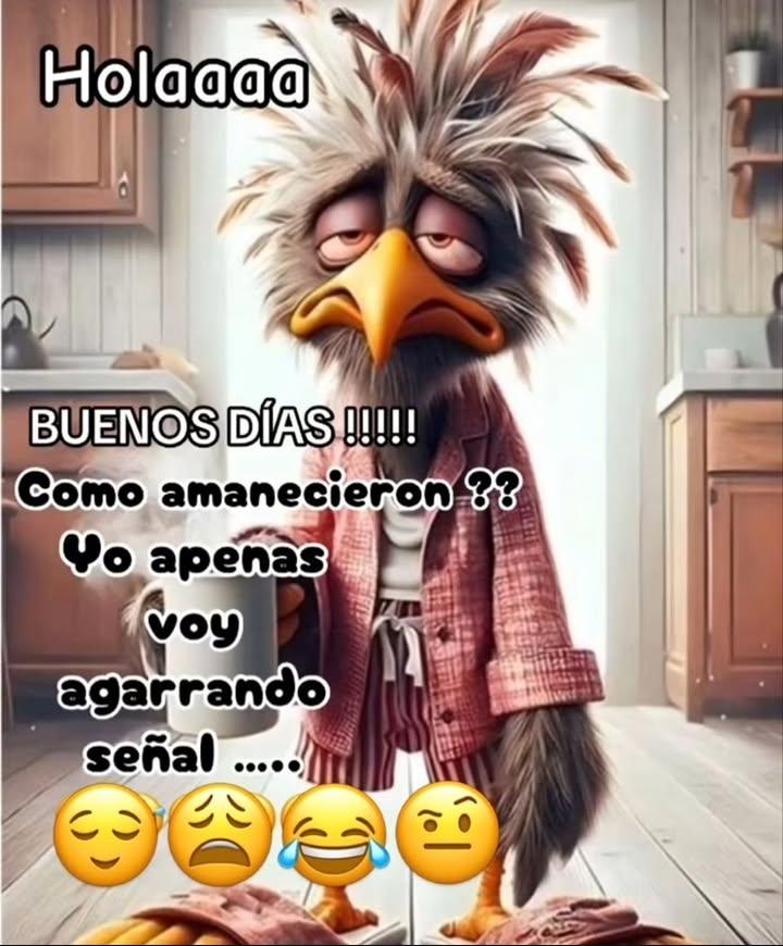 ༒︎❥︎𝕿𝖚 𝕬𝖓𝖌𝖊𝖑 𝕳𝖆𝖇𝖎𝖙𝖆𝖓𝖙𝖊❥︎✨️🐦 tweet media