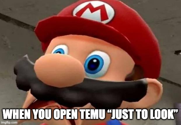 moneycashz0ne's tweet image. How often do you open Temu “just to look” and end up adding five things to your cart? 😭

#TemuFinds #OnlineShopping #ImpulseBuy #RelatableMeme #ShoppingHumor