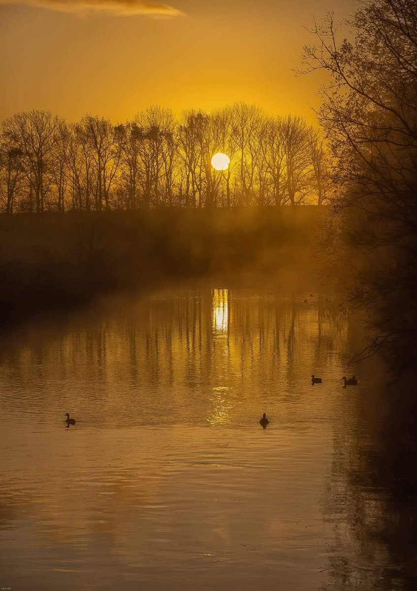 Good morning, wherever You are 🌞☀️