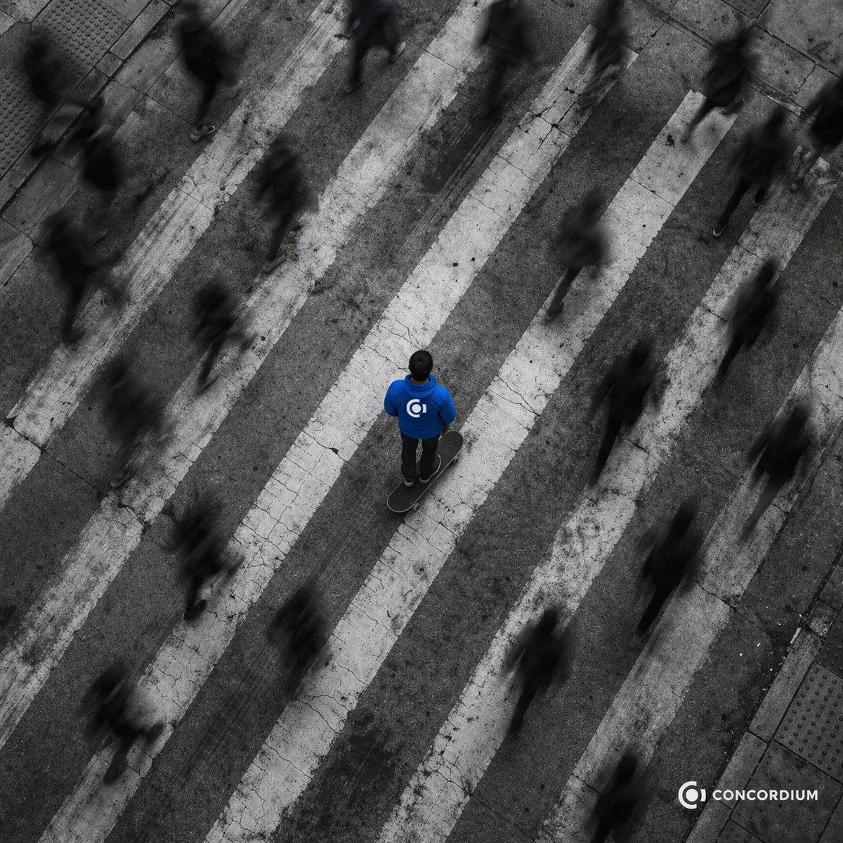 Concordium tweet media