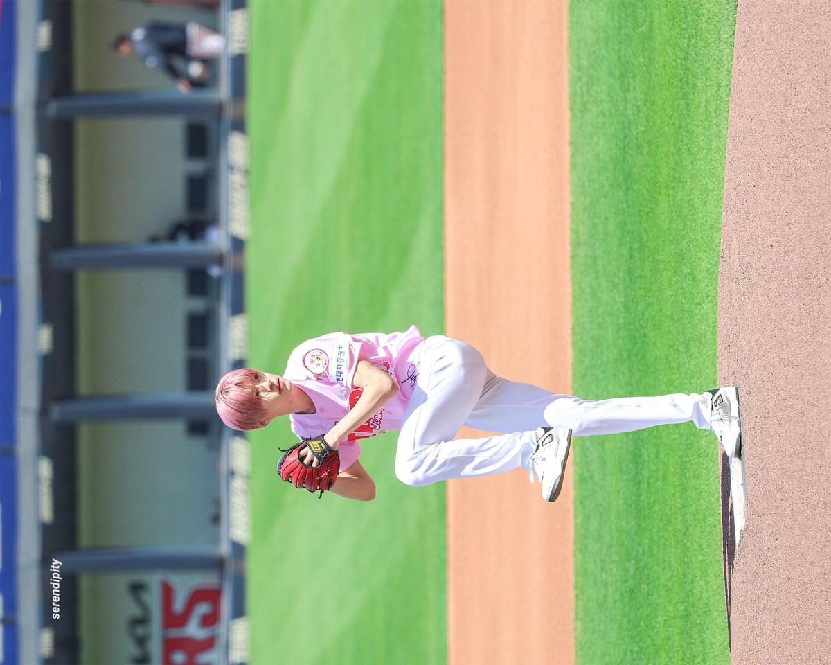 serendipity tweet media