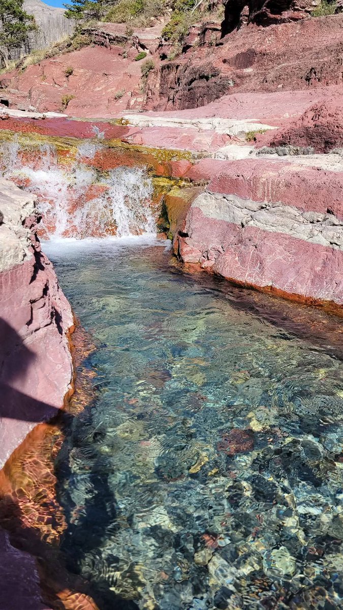 Jon Sedore tweet media