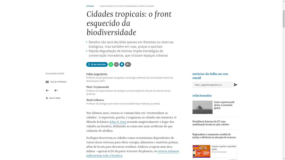 Fabio Angeoletto 🇧🇷 tweet media