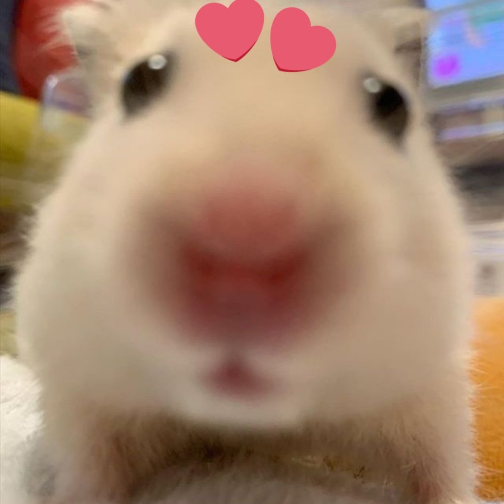 햠삐머 tweet media