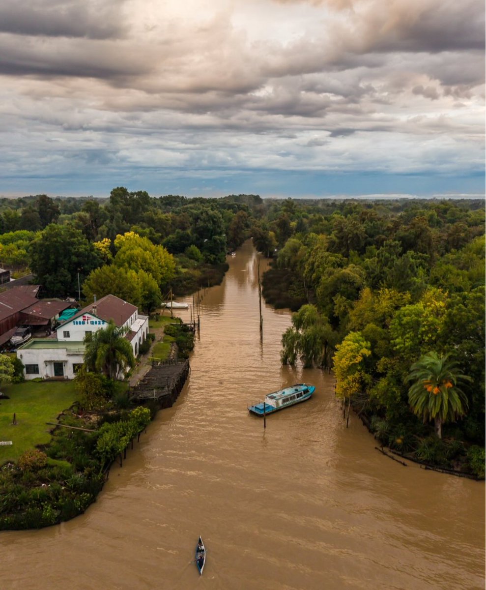 Municipio de Tigre tweet media