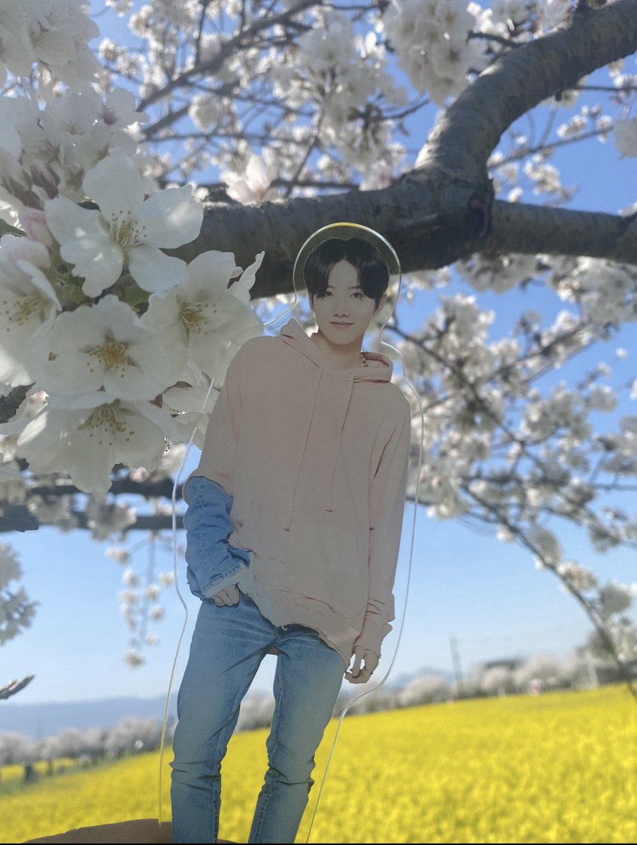 🧡🐨Na🐨🧡 tweet media