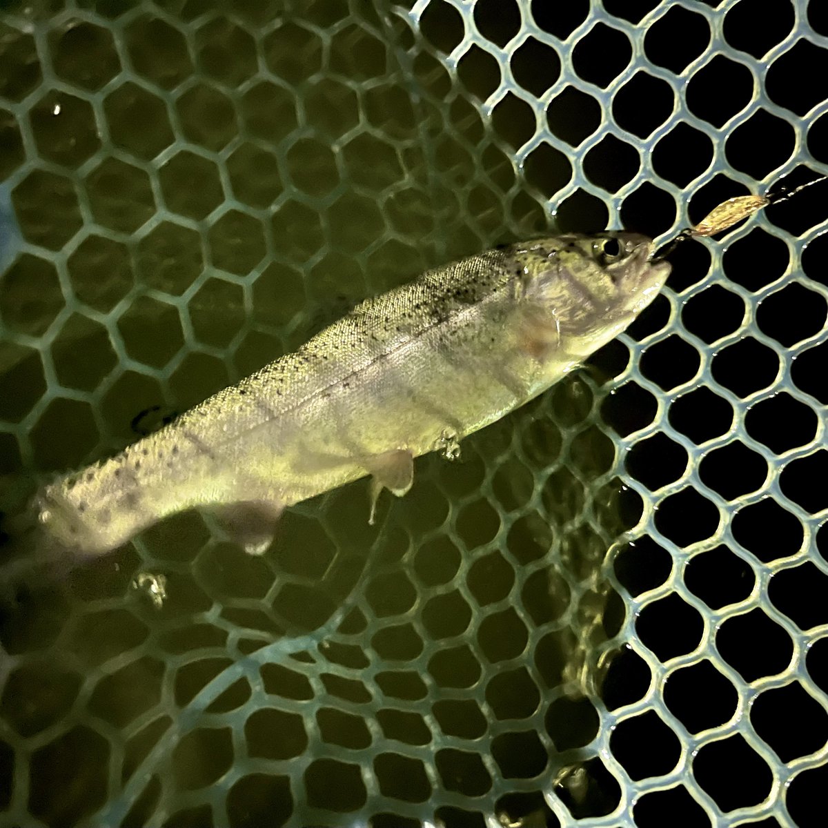 渡邉 紘 / co watanabe tweet media