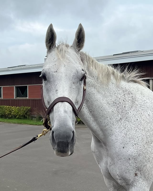 ZeeByte 🌹 tweet media