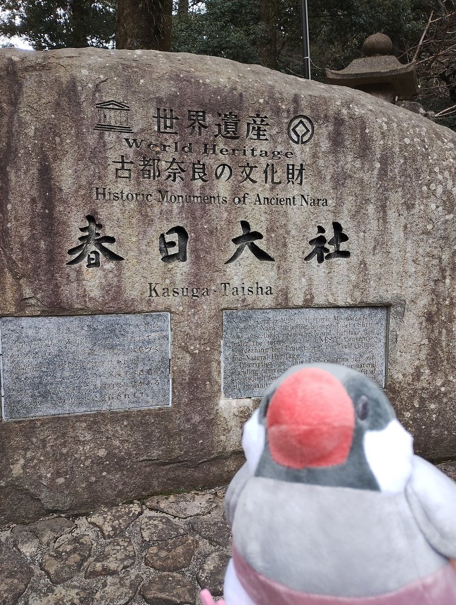 オムライス-桜🕊 tweet media