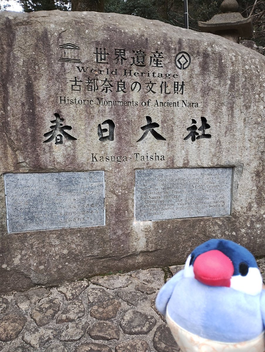 オムライス-桜🕊 tweet media