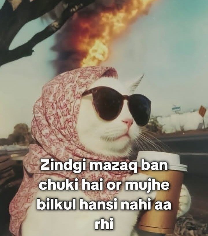 Shafali Singh tweet media