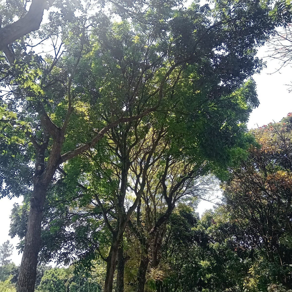 Vall🍂 tweet media