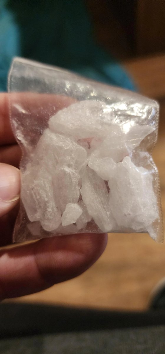 BEAR ICE tweet media