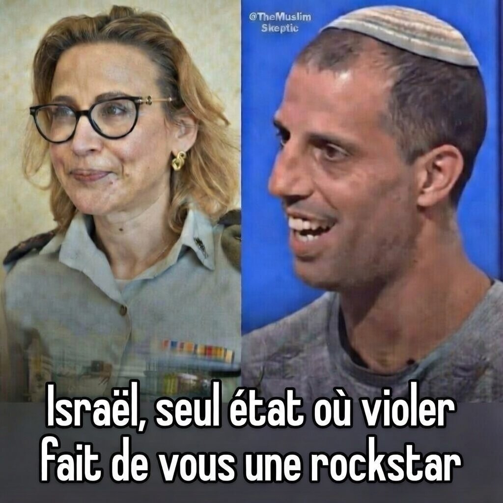 ghazal hamida tweet media