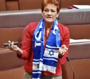 X Cat⚡️ tweet media