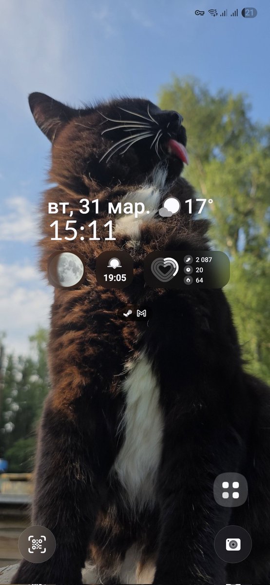 Уже с полгода Батон стоит на заставке