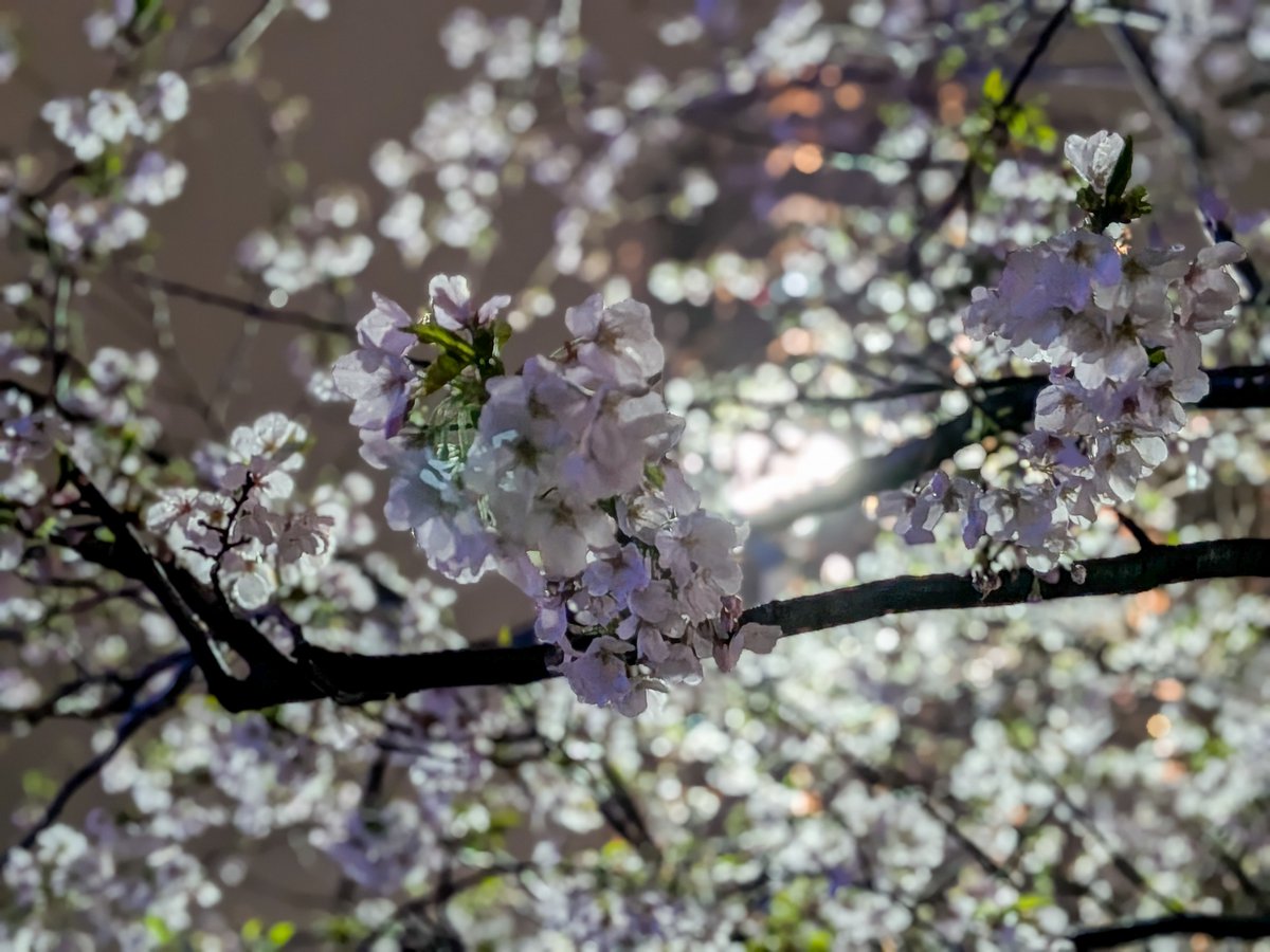 Toru Komatsu tweet media