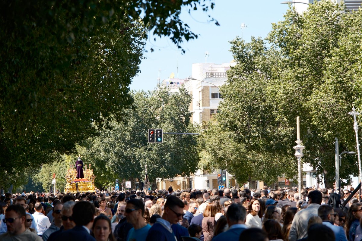 ᴊᴏsᴇ ʟᴜɪs ᴄ. ᴇ. tweet media