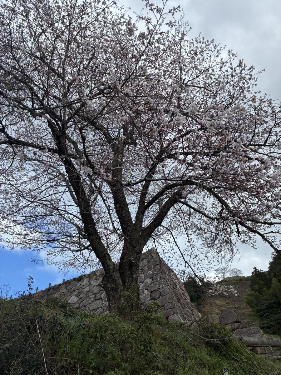 亀尾佳宏 tweet media