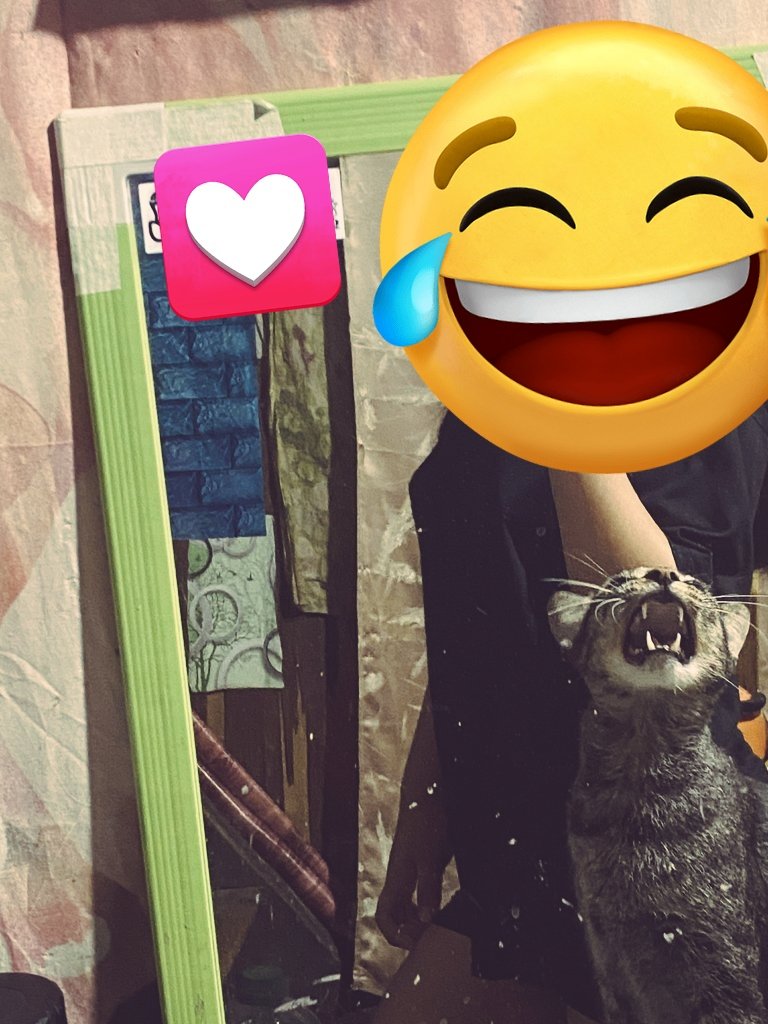 potatojin16's tweet image. I hate being sick but I saw mr pocchii throwing tantrums at me so i took a photo and look!! 🤭🤭🤭

#cats #spoiledcat #tabbycat #sick