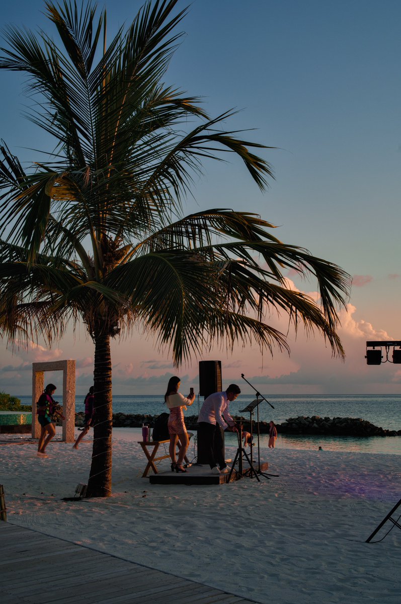 Ilya · イリア tweet media