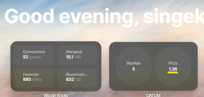 Singekino_Miner (Knots | Datum miner | BIP-110) tweet media