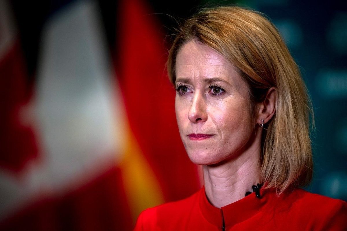 MisterChiton tweet media