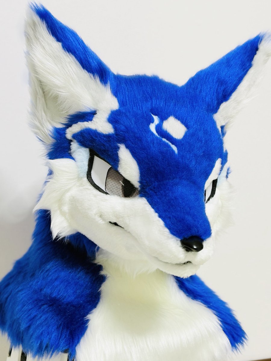 虎衣軒 Try＝Ken 【依頼受付中】 tweet media