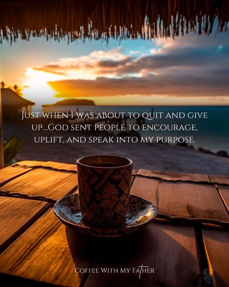 Michael Doyle tweet media