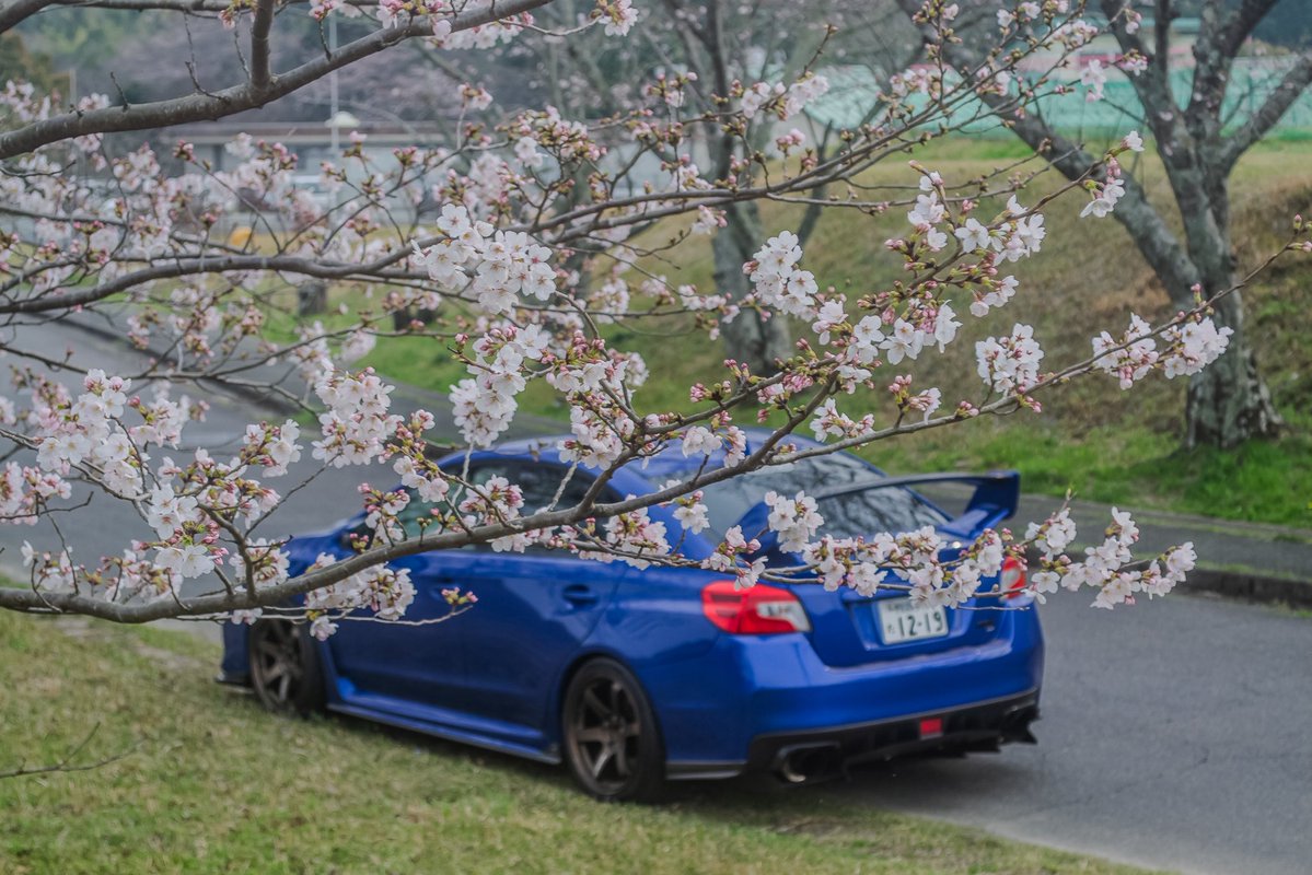 ささみかつ tweet media