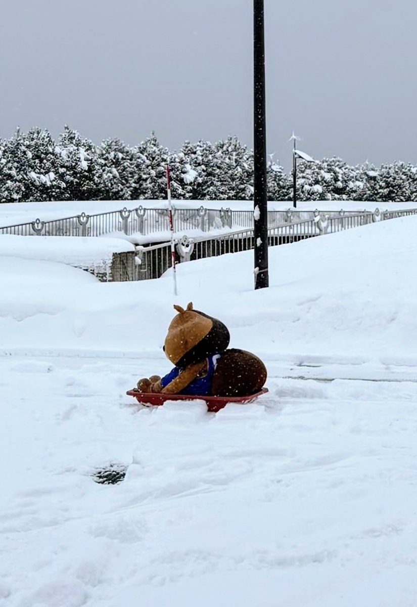 まぎぃ tweet media