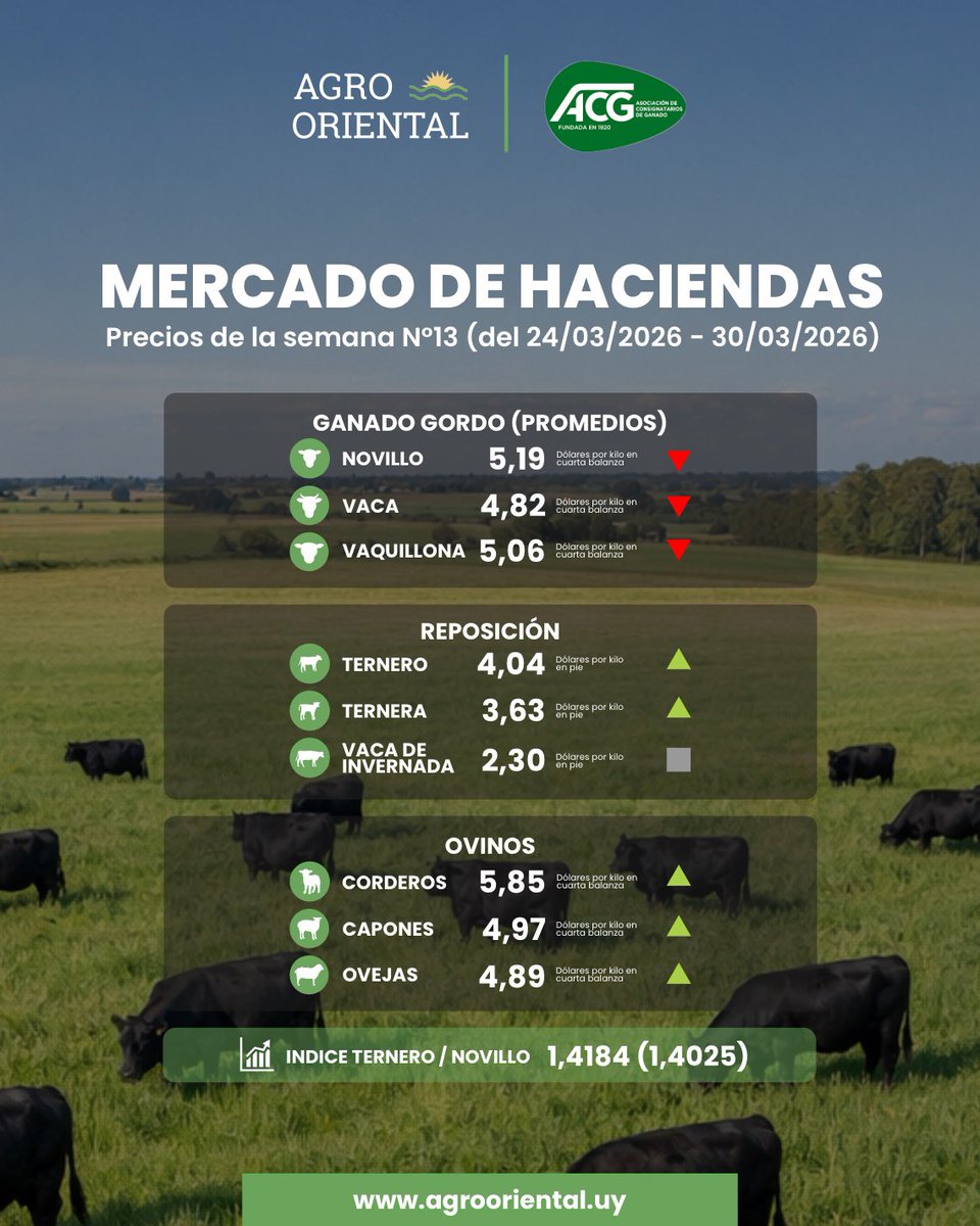 Agrooriental tweet media