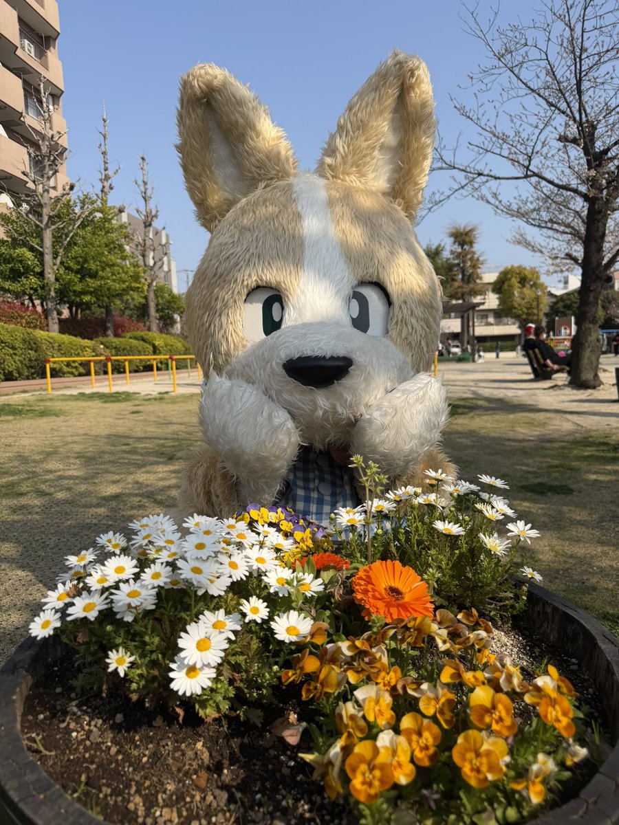 こーた(幸多) tweet media