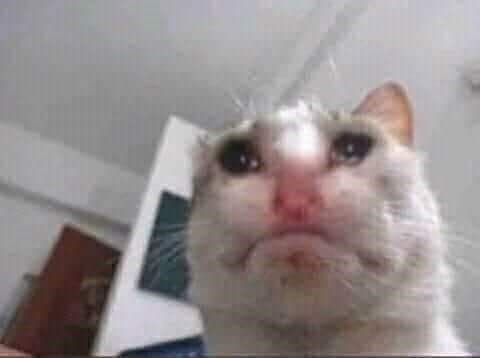 も〜ウチにかまわんでよ tweet media