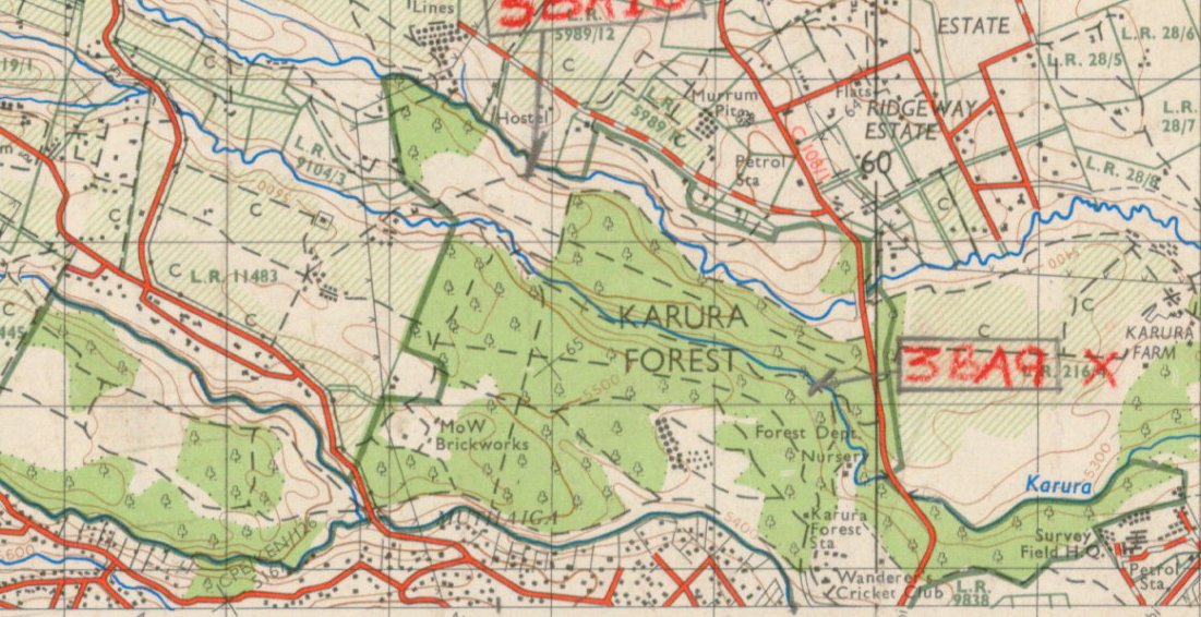 Photos for Trees Kenya🌳 tweet media