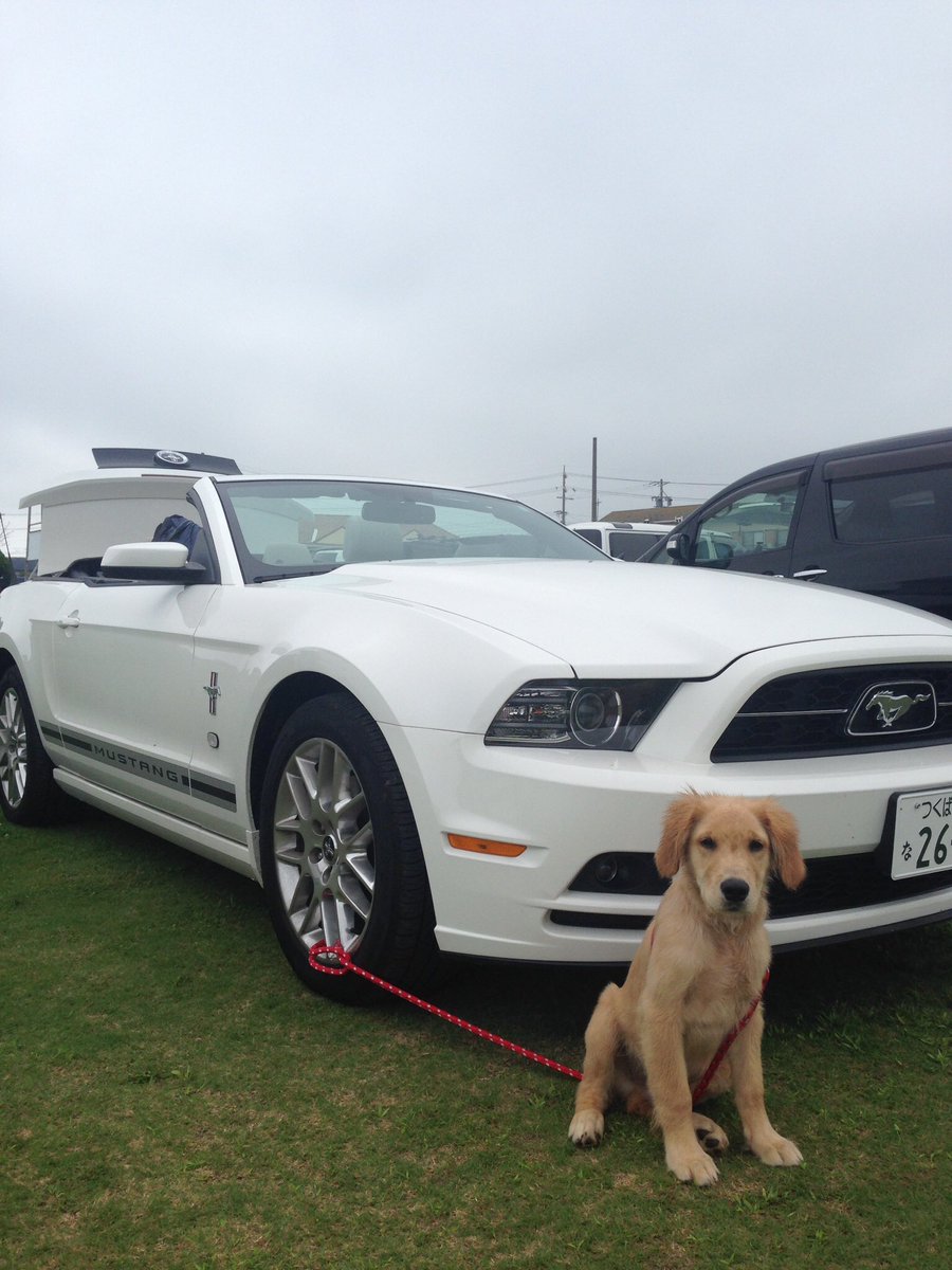 太田君 tweet media