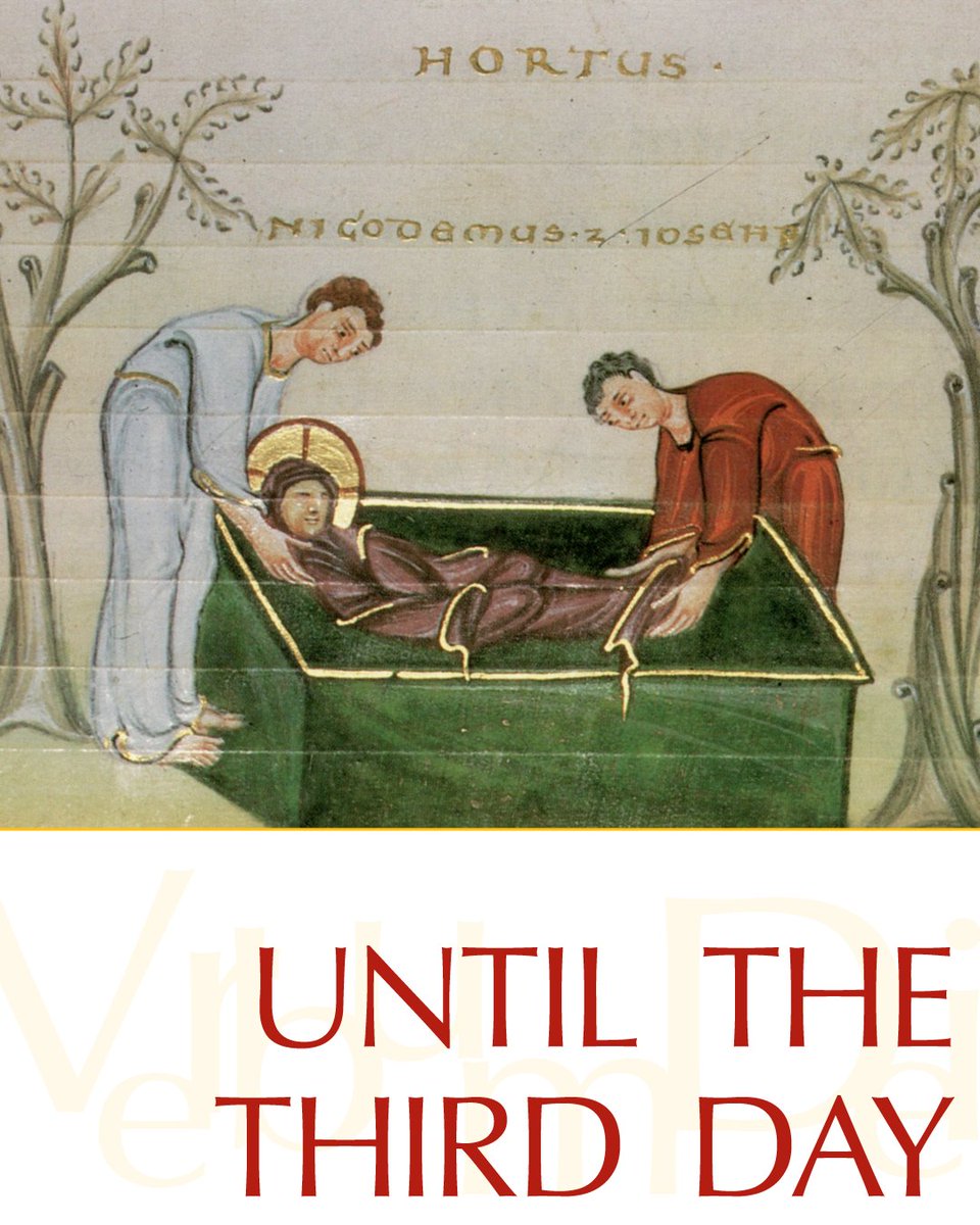 Vatican News tweet media