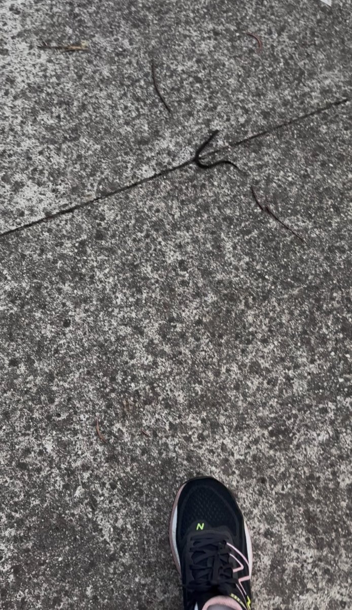 MopGarden tweet media