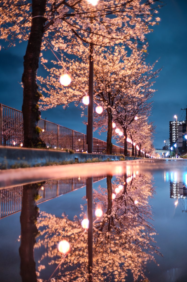 YOuSUKE_photo@NATURE4th 4/23-26 tweet media