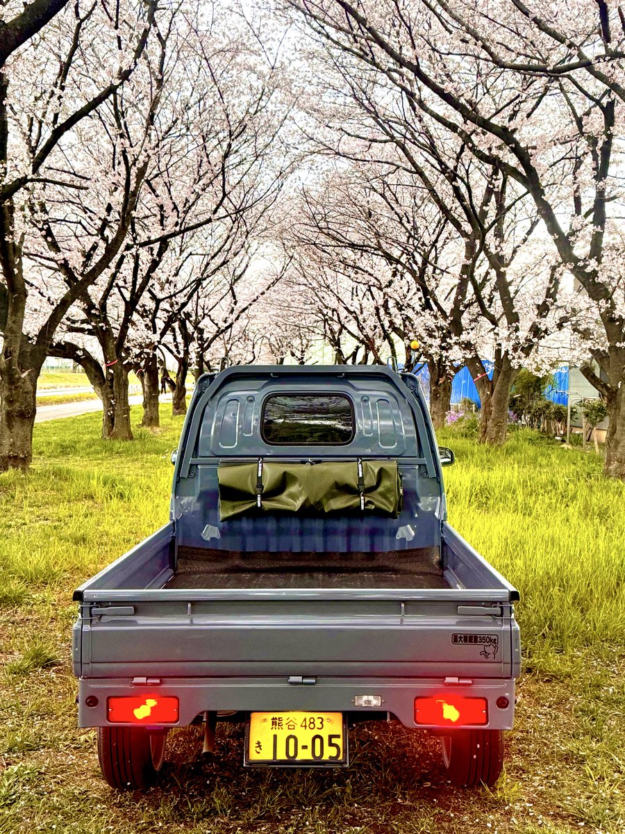 naoki7355's tweet photo. 仕事終わりに千本桜行ってきた🛻³₃ https://t.co/WFl4g4I20Z