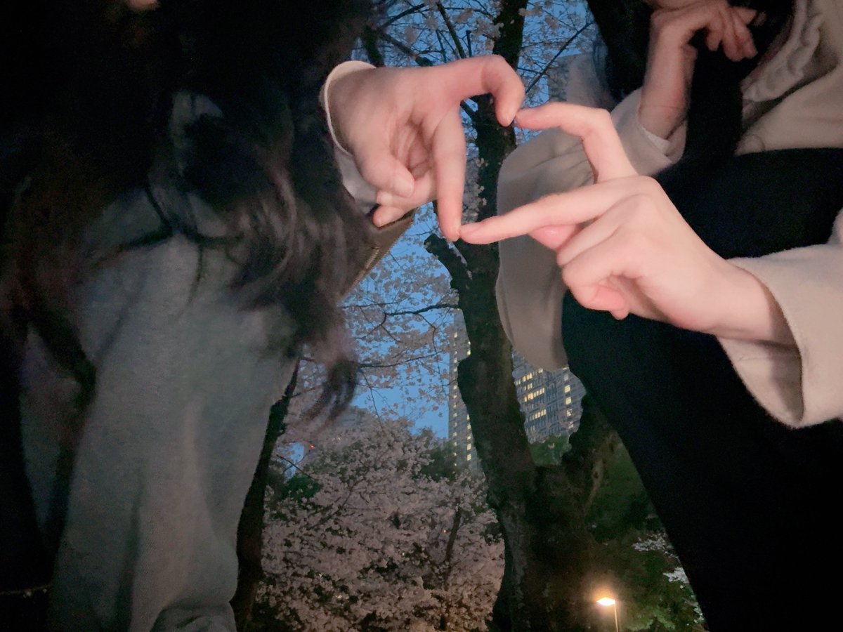 月1で写真載せたいなーと思っていたのに載せないまま3月が終わります。冬も終わります😱