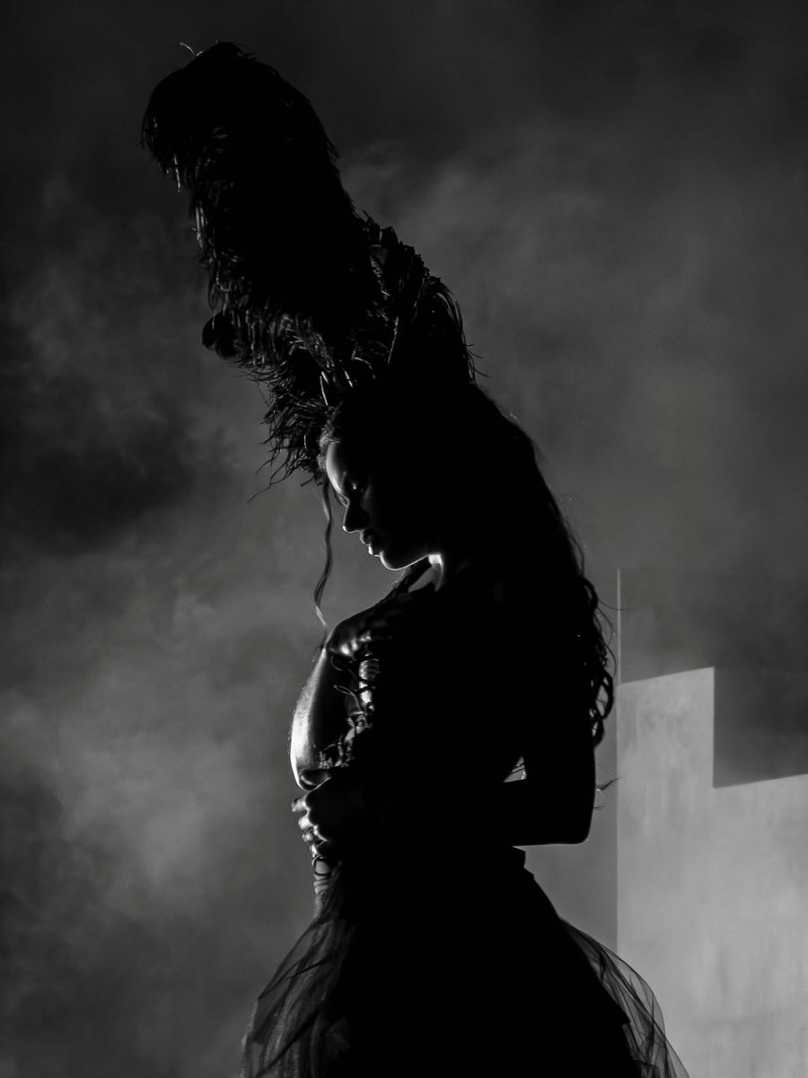 primadonna tweet media