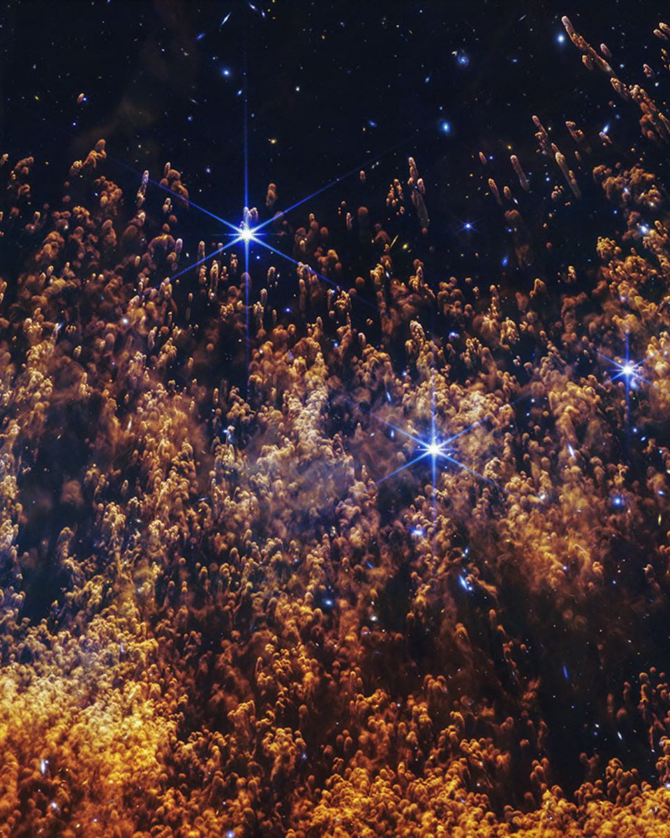 Poetuitero tweet media