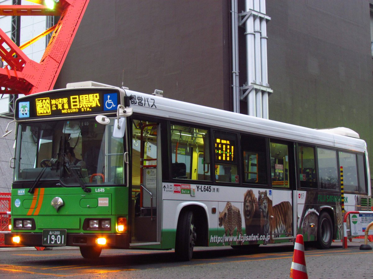 エコー tweet media