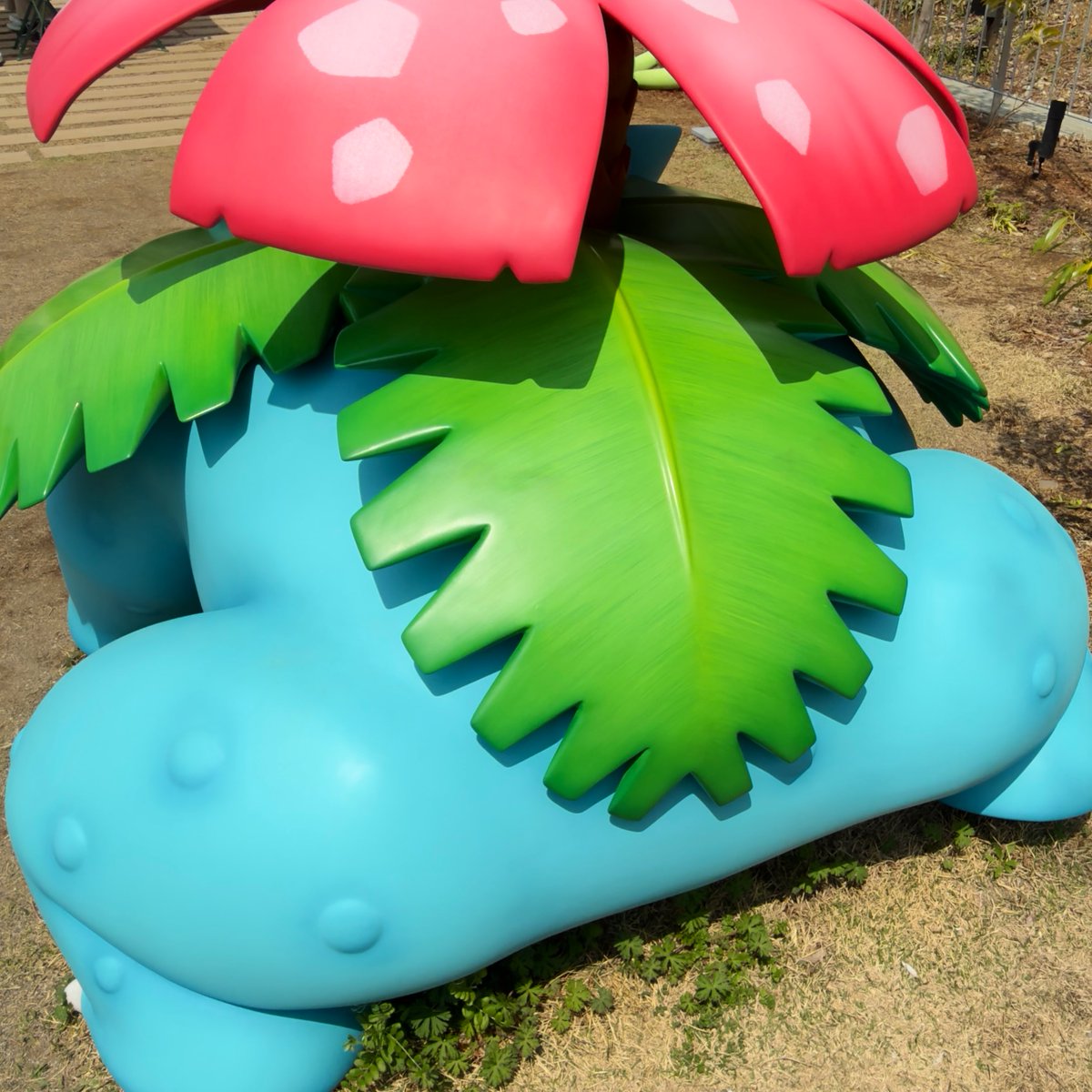 しょみぃー tweet media