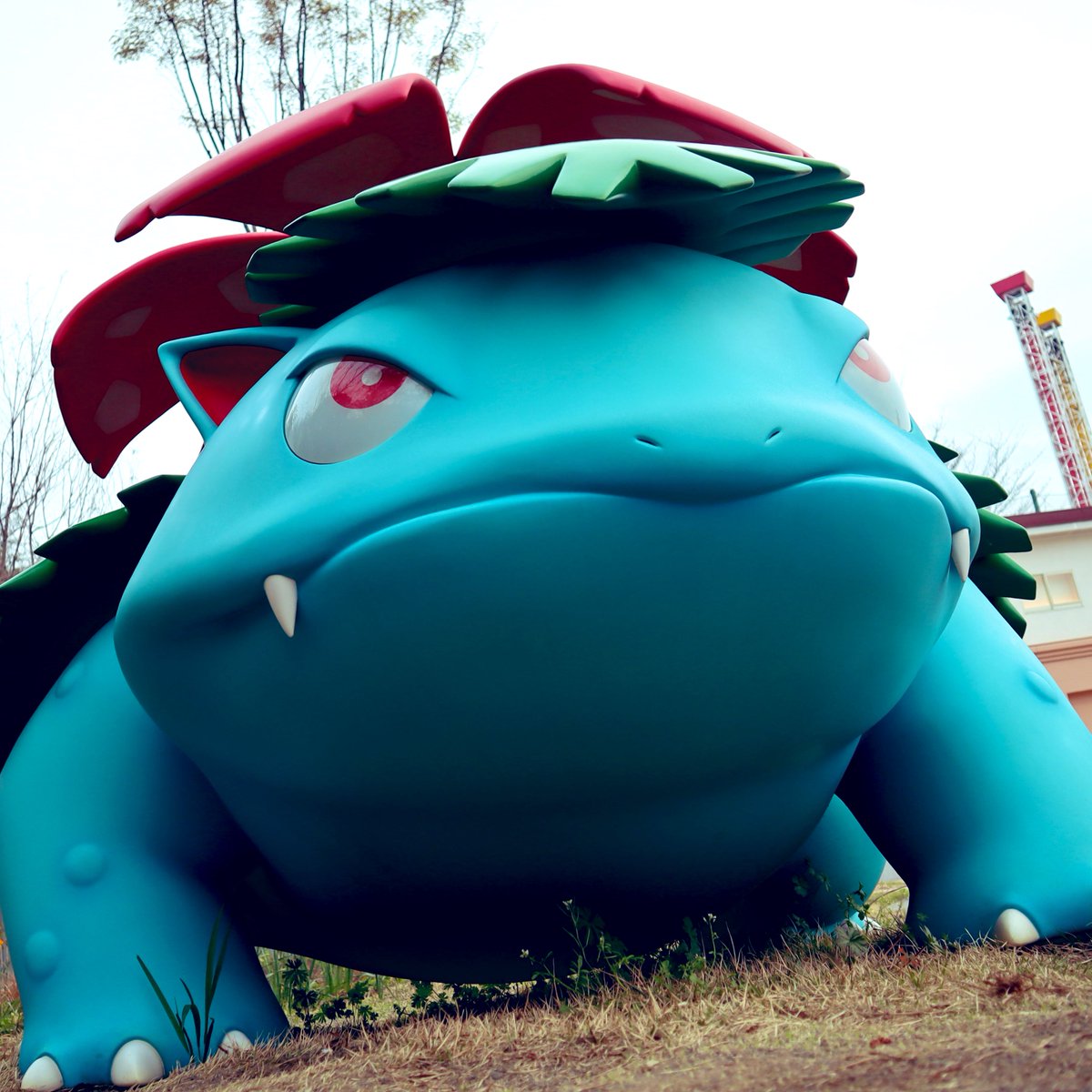 しょみぃー tweet media