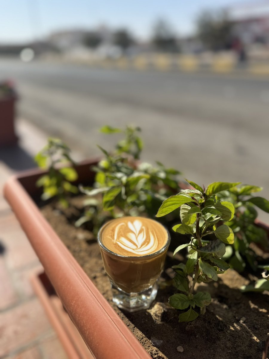 ‏​​​​​‏ ◔̯.◔ tweet media