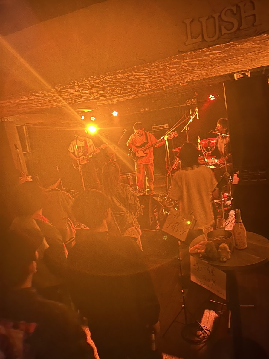 ドン・マルティネス(ドンマル公式） tweet media