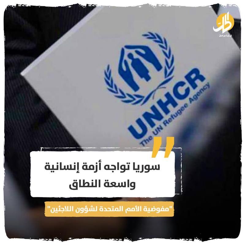 الحل نت tweet media