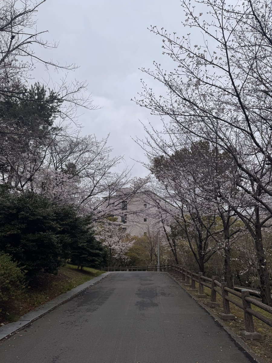 葱山紫蘇子//4/12(日)ZINEフェス大阪出店// tweet media